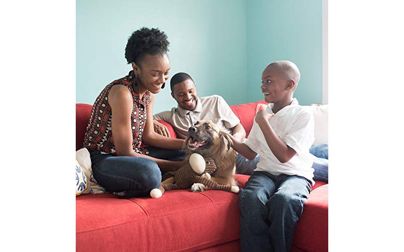 ZippyPaws - Spencer The Crinkle Monkey Dog Toy, Squeaker and Crinkle Plush Toy - Brown, X-Large