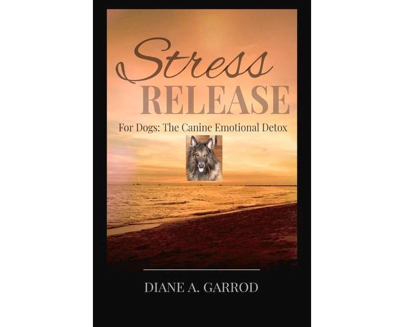 Stress Release - by  Diane Garrod (Paperback)