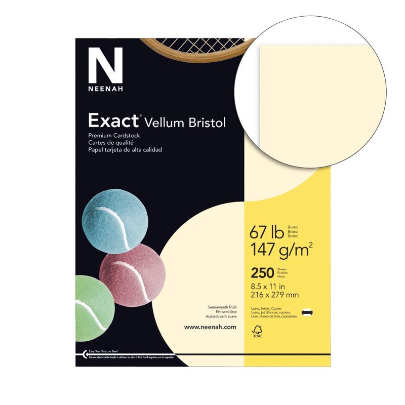 Exact Vellum Bristol Cardstock, 8-1/2 x 11 Inches, 67 lb, Ivory, pk of 250