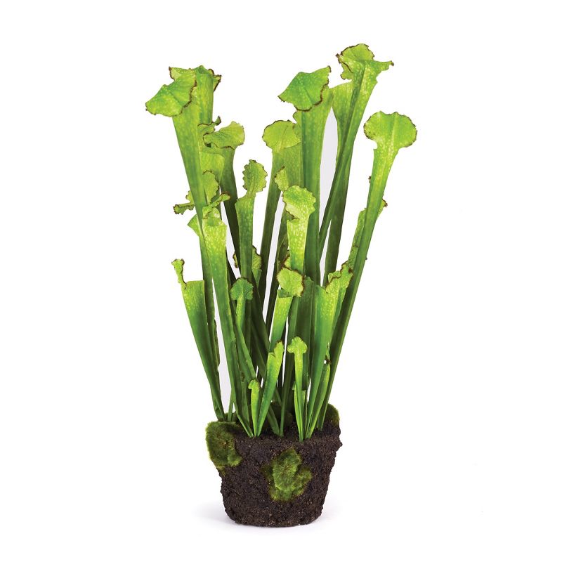 Plum & Post Sarracenia Drop-In Faux (Fake) 25"