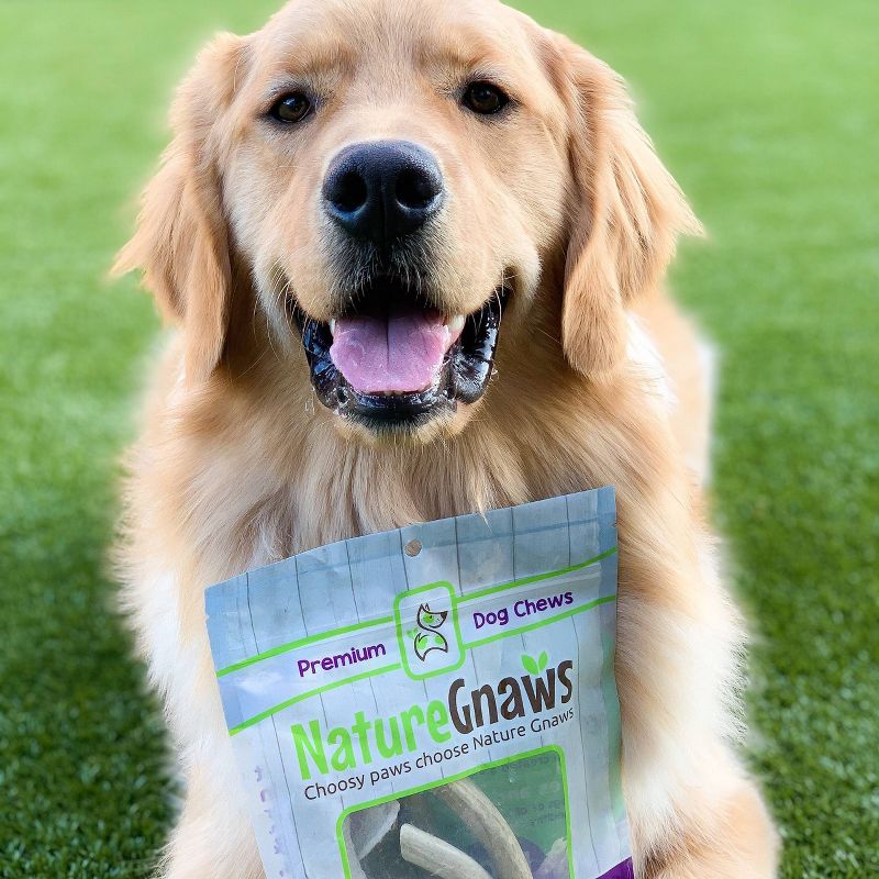 Nature Gnaws Elk Antlers 5-8" Dog Treats - 3ct