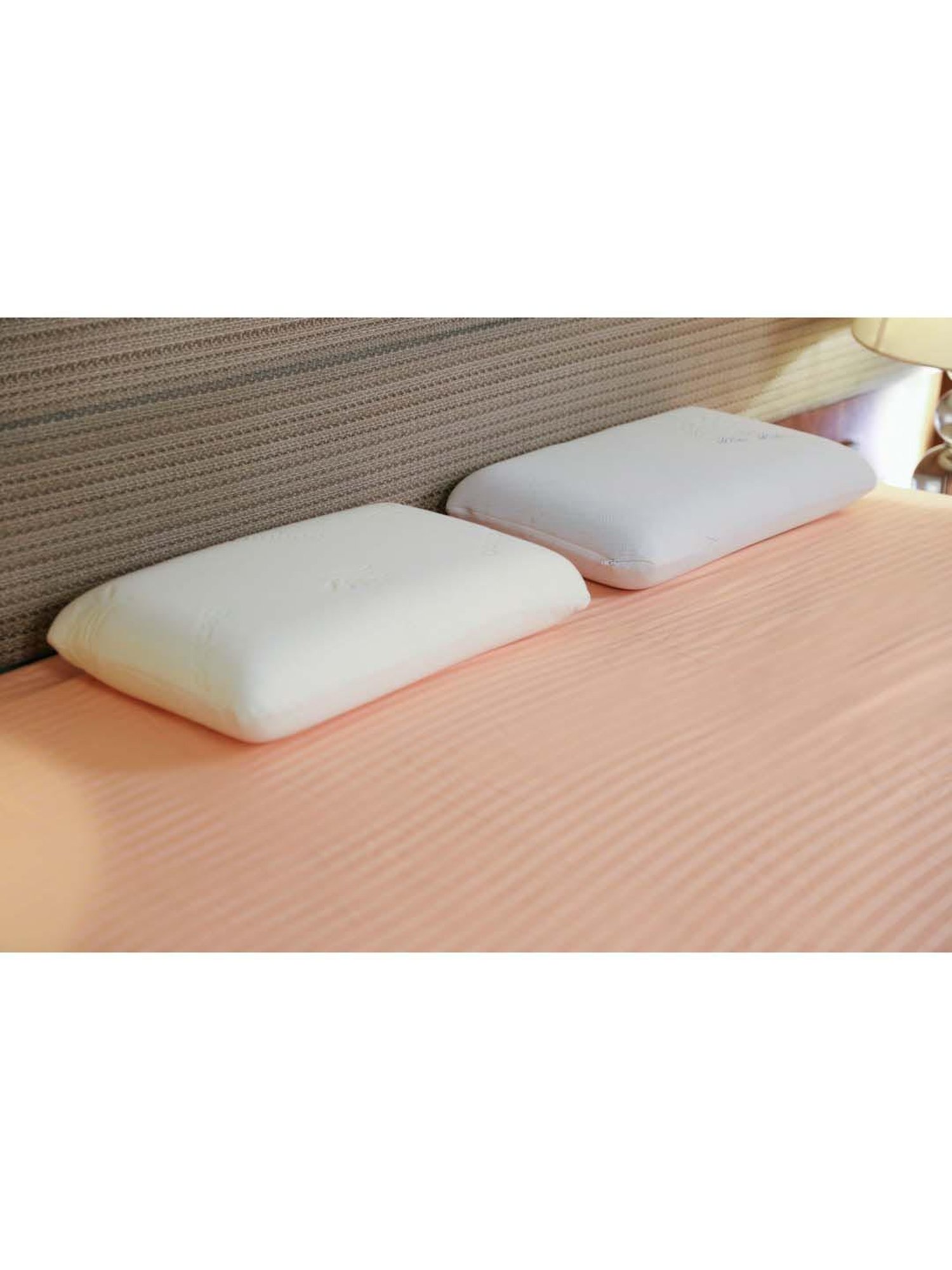 The White Willow White Regular Pillow with Cover - Set of 1