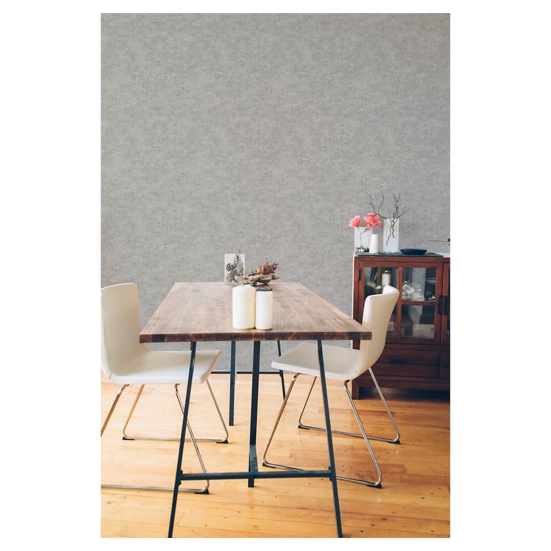 Devine Color Textured Concrete Peel & Stick Wallpaper Gray