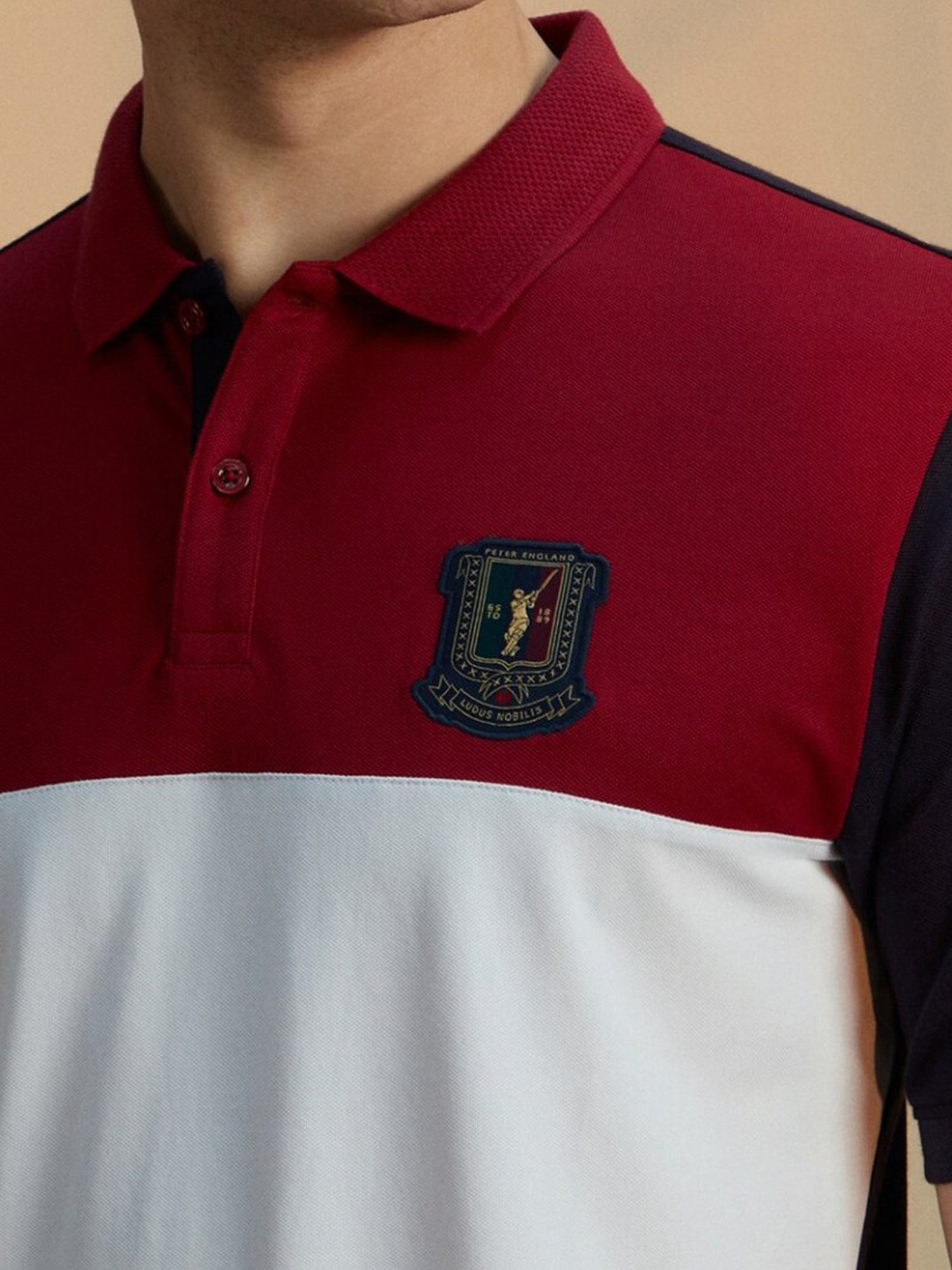 Peter England Multicolored Cotton Regular Fit Colour Block Polo T-Shirt