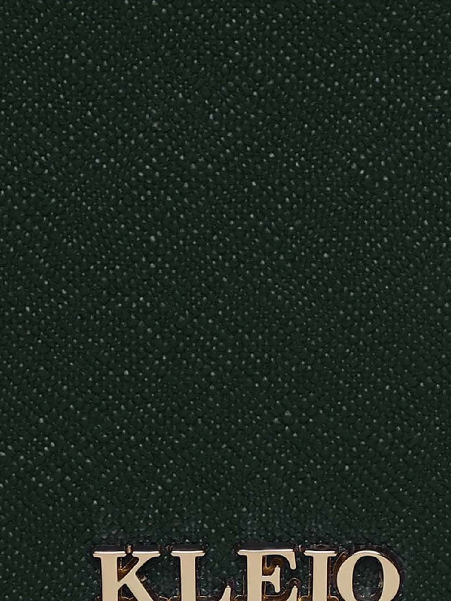 KLEIO Green Solid Bi-Fold Wallet for Women