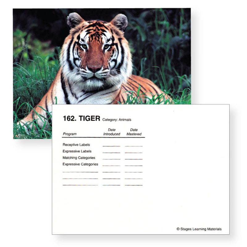 Stages Learning Materials Language Builder Photo Cards - Picture Nouns