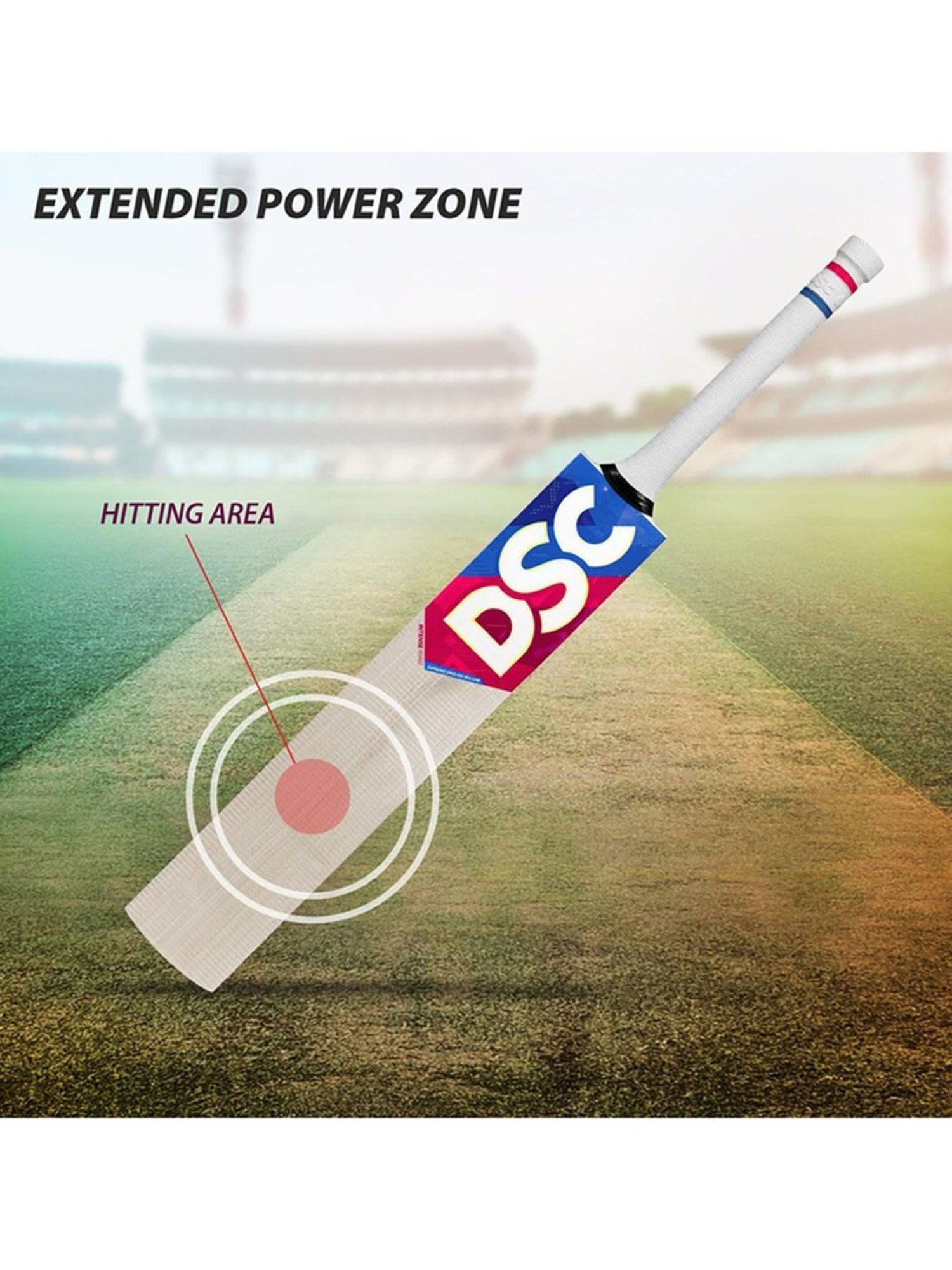 DSC Intense Assault Grade 5 English Willow Cricket Bat Size - 5