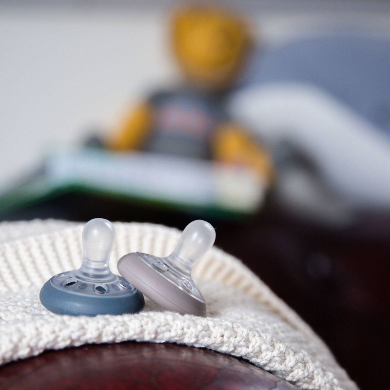 Tommee Tippee 2pk Breast Like Soother 6-10 Months - Cedar/Slate