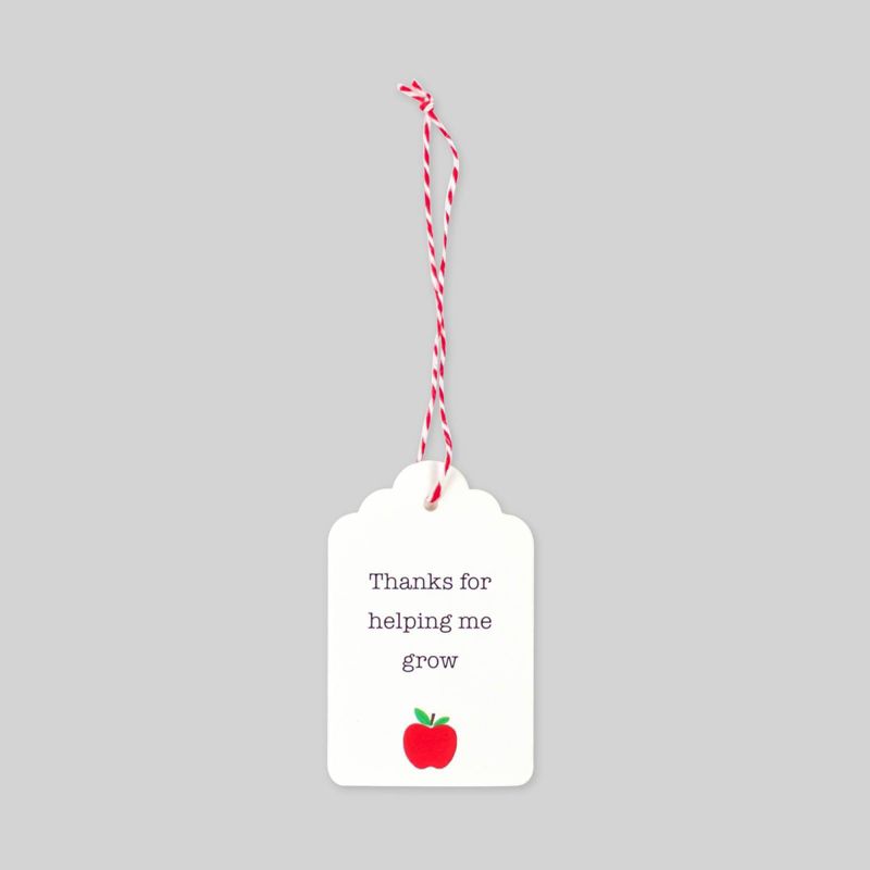 64ct Paper Tags - Bullseye's Playground™