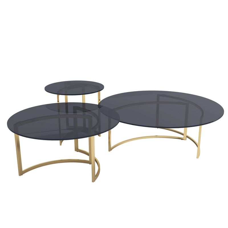 3pc Metal Coffee and Side Tables Gold/Smoke - Sagebrook Home