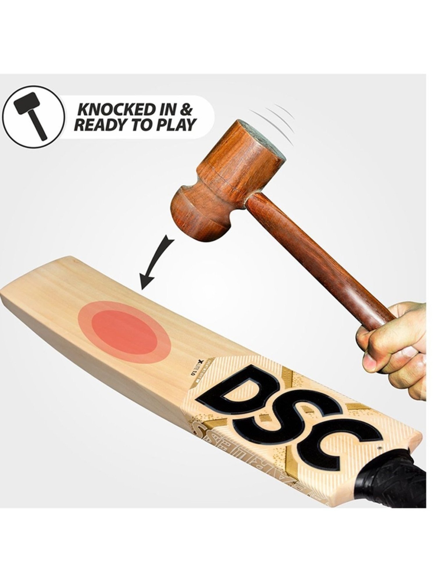 DSC XLITE 1.0 English Willow Cricket Bat Size - Mens