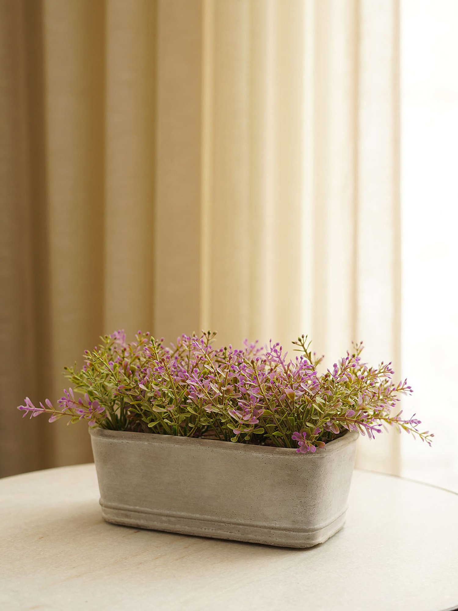 Pure Home and Living Purple Plastic Potted Plants