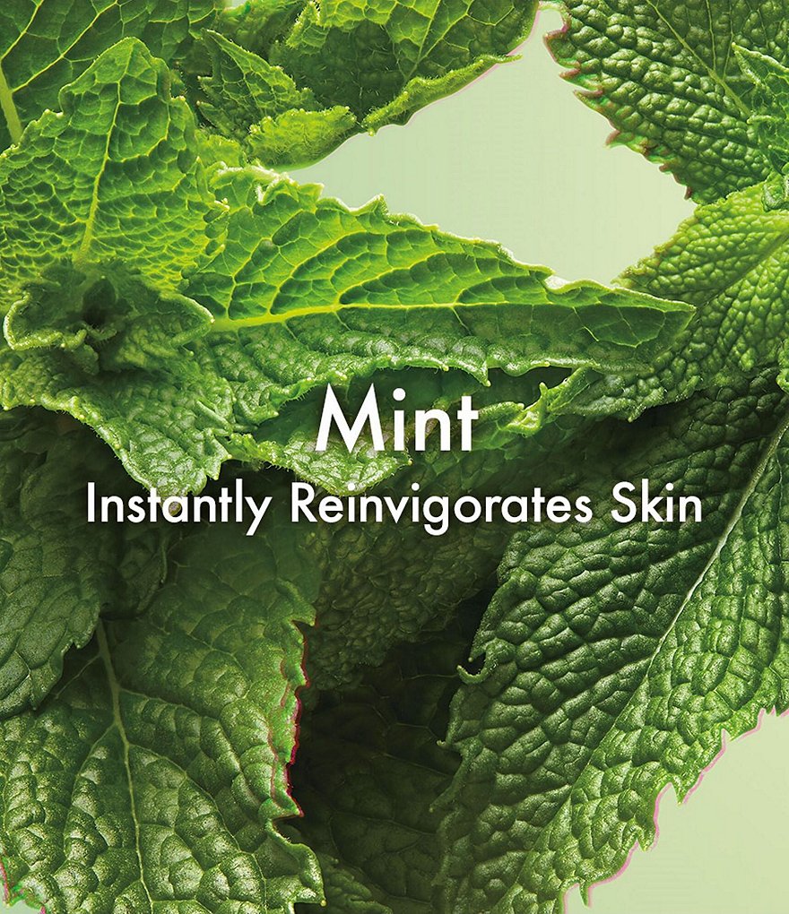 Origins Checks and Balances&trade; Polishing Face Scrub