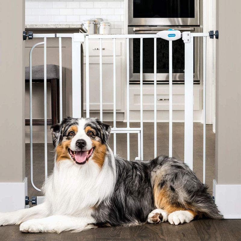 Carlson Pet Products 0930PW 36-Inch Extra Wide Pet Gate with Lift Handle and 8 x 8-Inch Small Pet Door