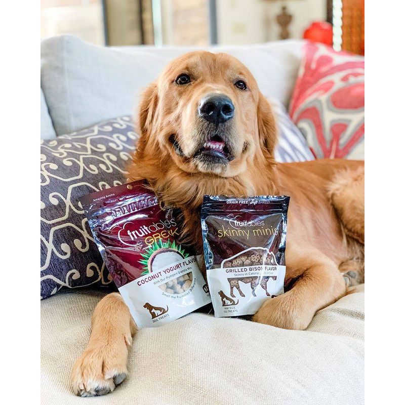 Fruitables Skinny Minis Grilled Bison Flavor Healthy Low Calorie Dog Treats - 5oz