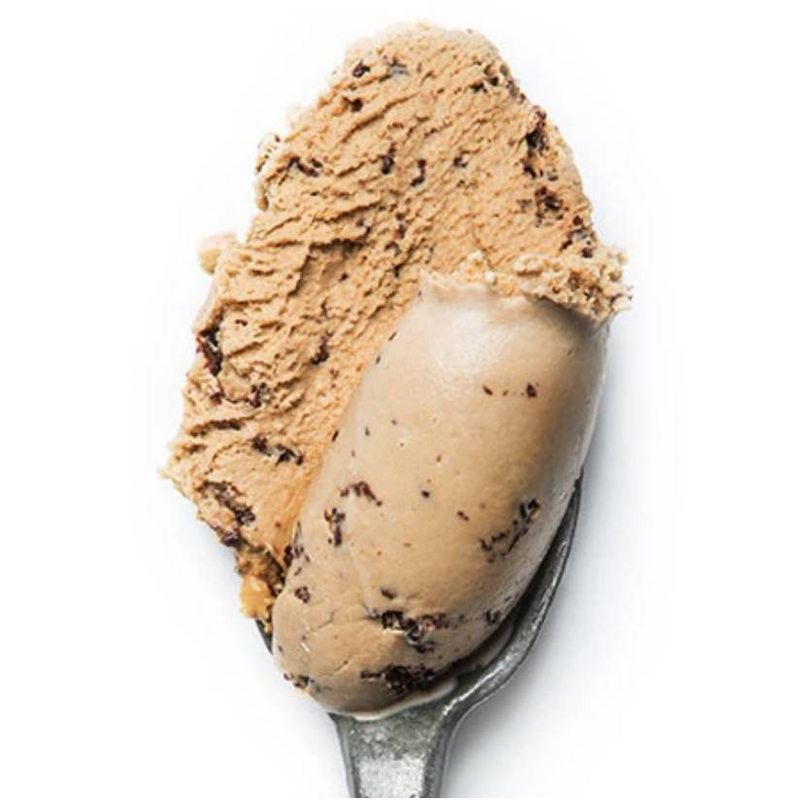 McConnell's Salted Caramel Chip Ice Cream - 16oz