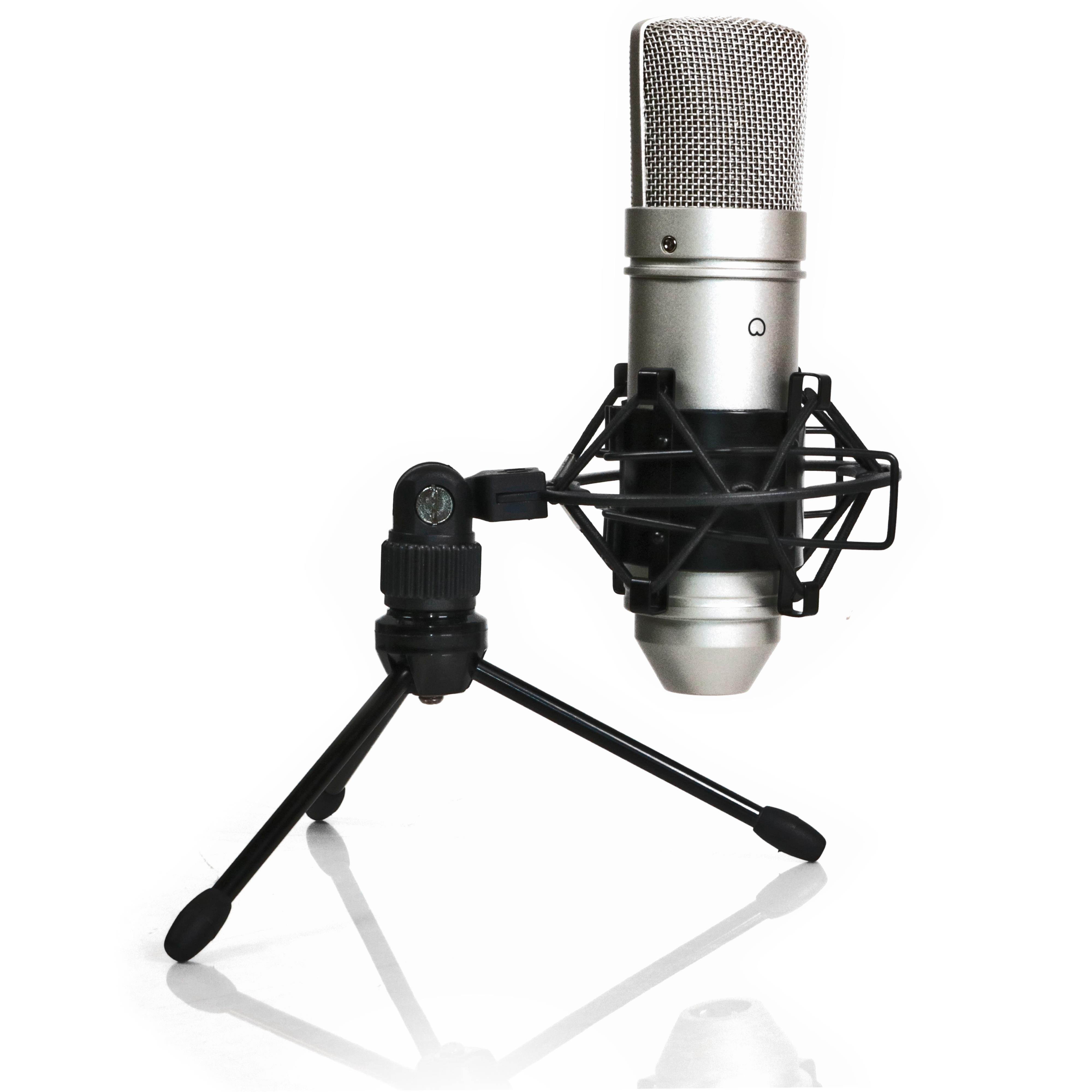 Tascam TM-80 Large Diaphagm Condenser Studio Microphone w/ Shock Mount & Tripod