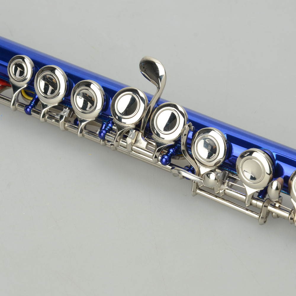 New Standard Blue School Band Student 16 Closed C Flute with Case&Accessories