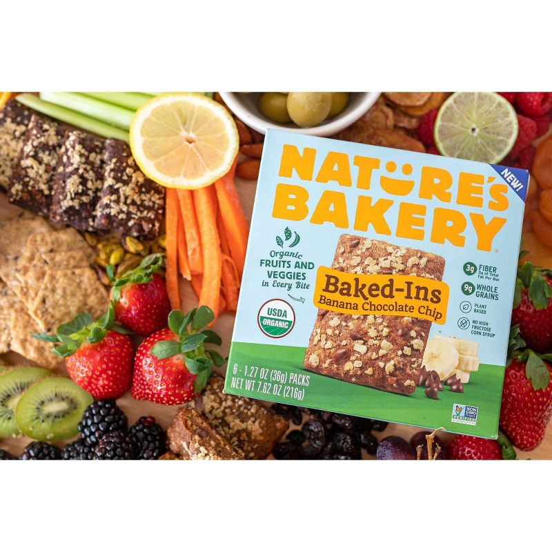 Nature's Bakery Baked-Ins Organic Banana Chocolate Chip - 7.62oz