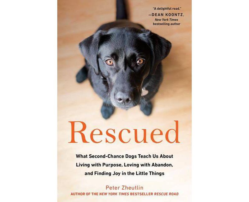 Life with Forty Dogs - by  Joseph Robertia (Paperback)