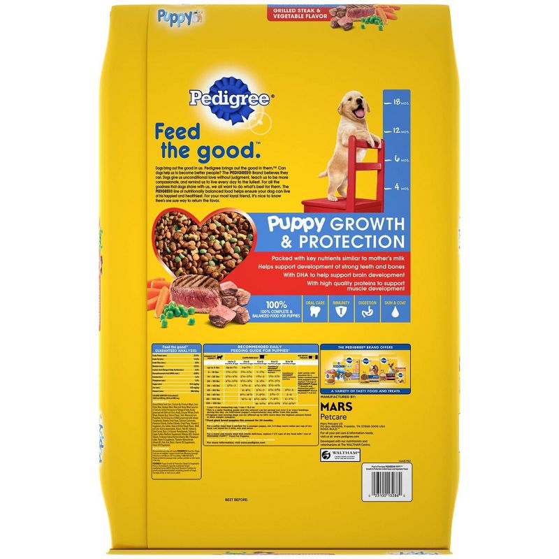 Pedigree Grilled Steak & Vegetable Flavor Puppy Growth & Protection Complete & Balanced Dry Dog Food - 16.3lbs
