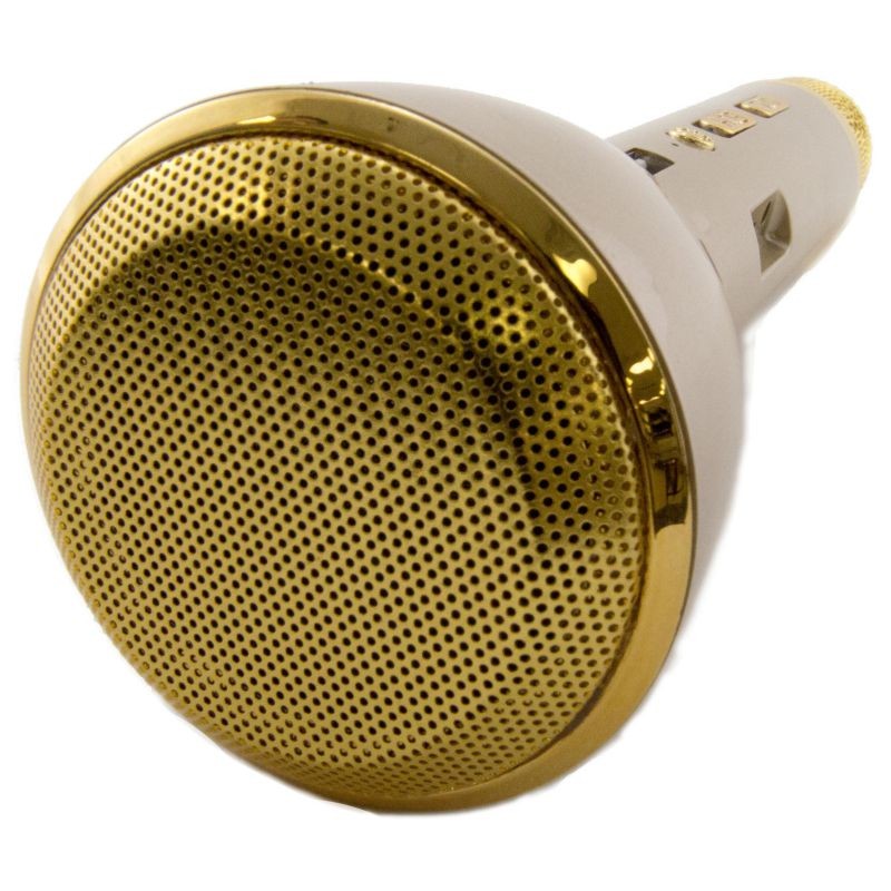 Karaoke Microphone with Built-in Speaker and Rechargeable Battery