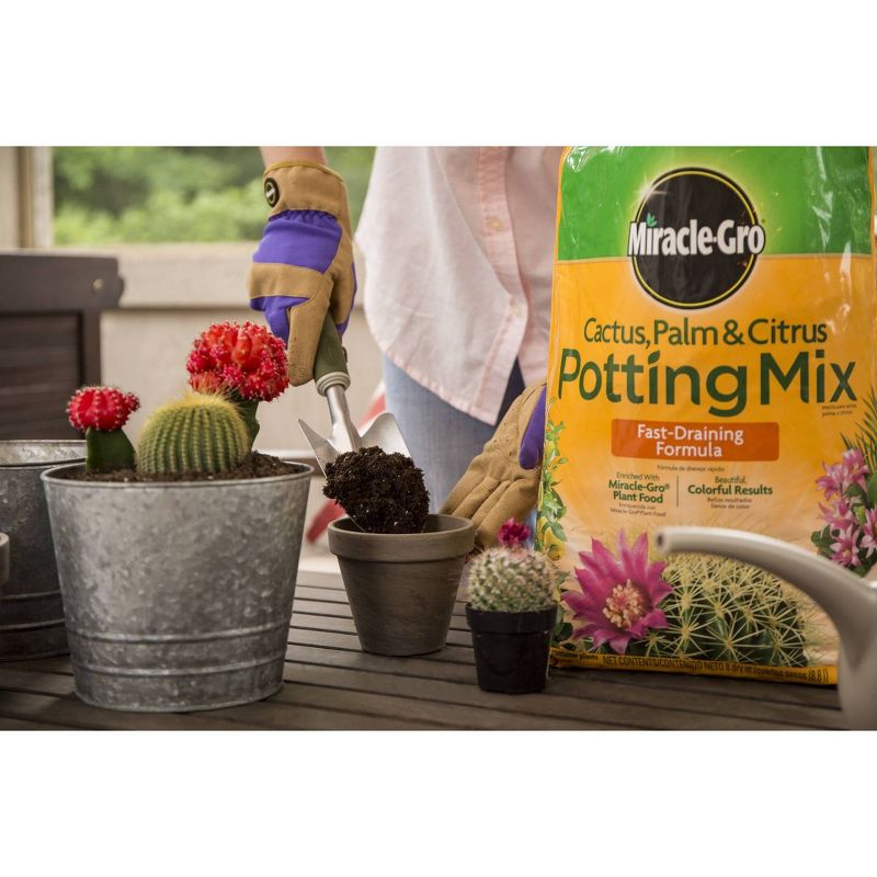 Miracle-Gro Cactus Palm Citrus Potting Soil - 8qt