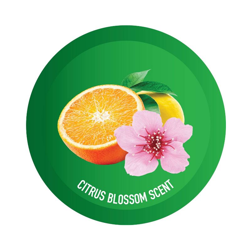 Hoover Renewal Multi Surface Floor Cleaner Solution Formula for FloorMate Machines 32oz