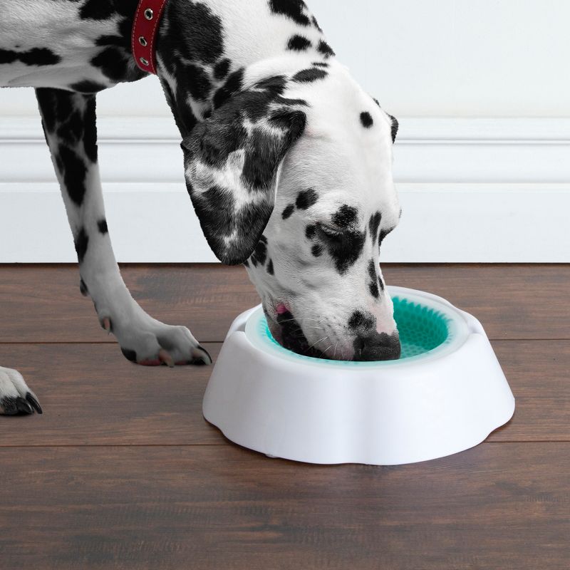 Petmaker Pet Bowl White Turquoise