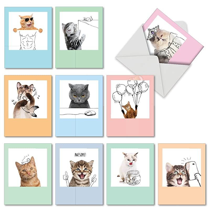 10 All Occasion Blank Cat Cards 4 x 512 Inch Cute Assorted Bulk Card Set Feline Graffiti M6583OCB
