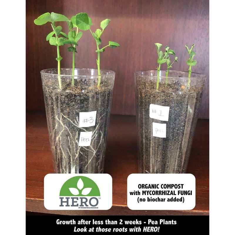 Sunnydaze Outdoor Solar Powered Water Pump and Panel Kit with Battery Pack and LED Light - 65 GPH - 78"