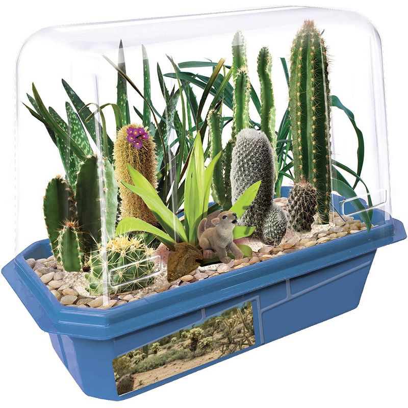 Toys By Nature Miniture World Terrariums - Desert Plant Collection, Cactus
