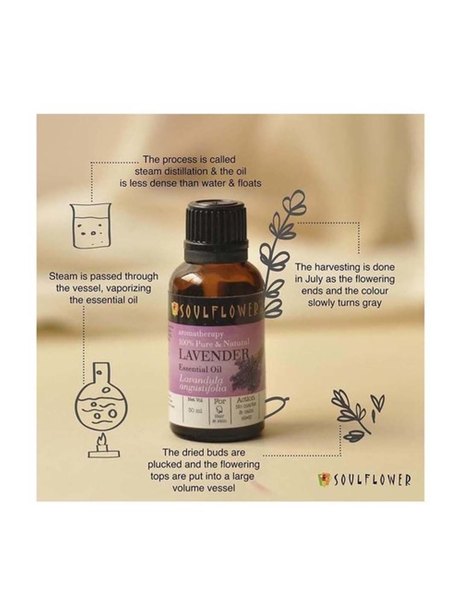 House of Beauty Pigmentation Oil - 30 ml