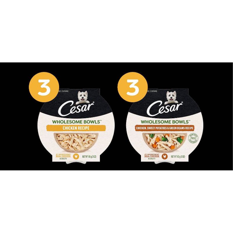 Cesar Wholesome Bowls Chicken Wet Dog Food - 3.0oz/6ct Variety Pack