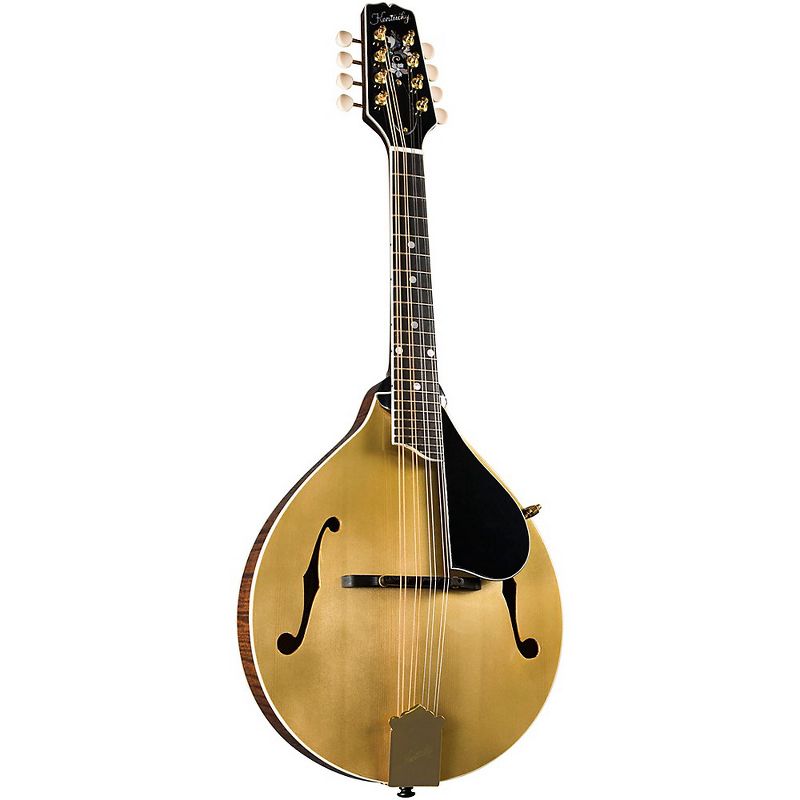 Luna Guitars Trinity A-Style Mandolin