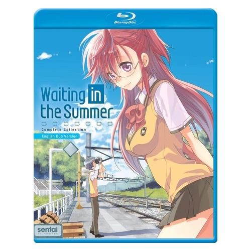 SECTION23 FILMS WAITING IN THE SUMMER-COMPLETE COLLECTION (BLU-RAY/ENG/JAPANESE W/ENG-SUB) BRSFANM110