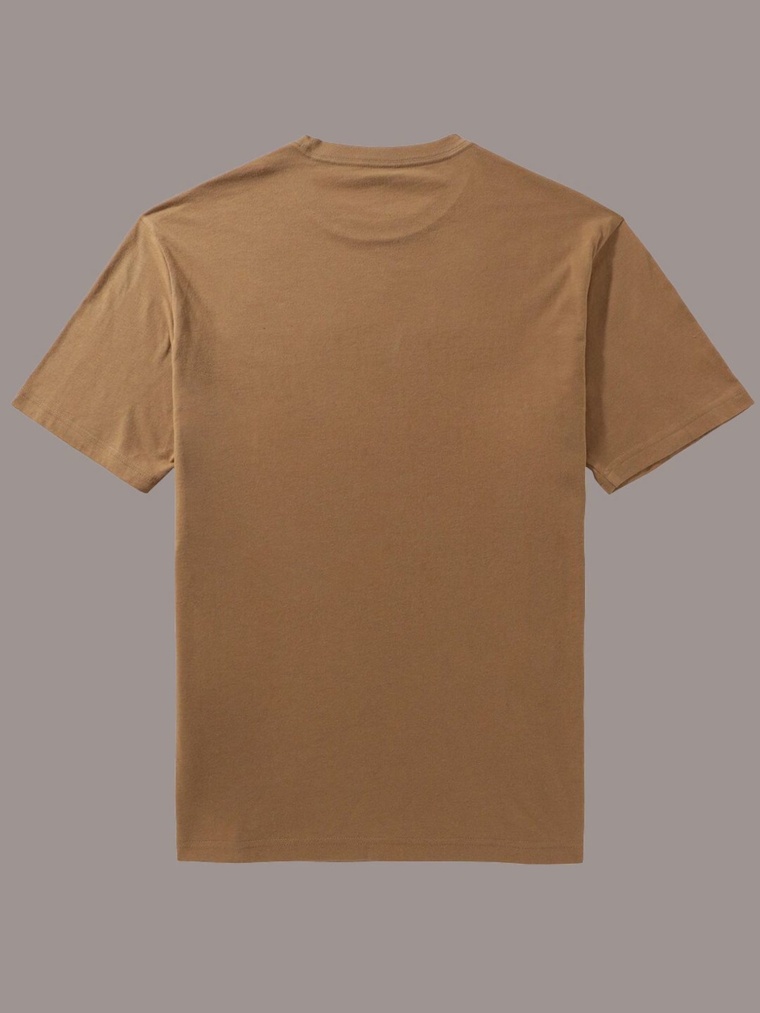 American Eagle Brown Regular Fit Printed T-Shirt