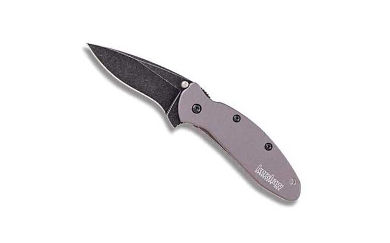 Kershaw 1620GRYBW Scallion Folding Knife