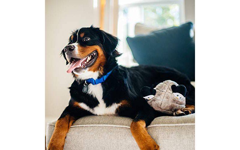 ZippyPaws - Arctic Pals Burrow, Interactive Squeaky Hide and Seek Plush Dog Toy - Penguin Cave