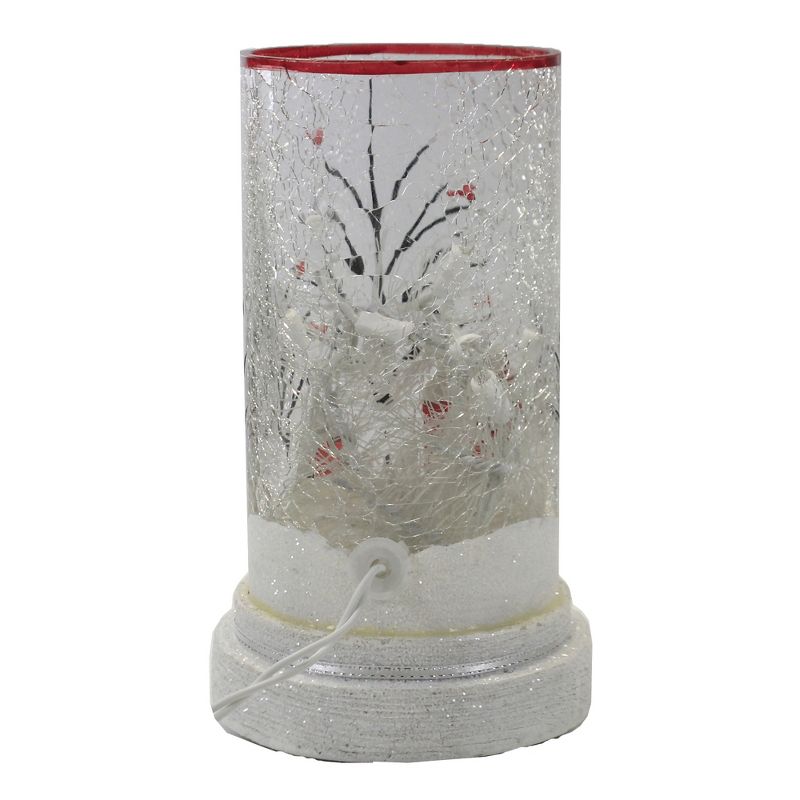 Stony Creek 8.25" Clearly Winter Hurrican Pre-Lit Cardinal Barn  -  Novelty Sculpture Lights