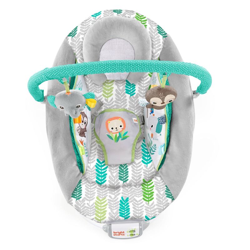 ​Fisher-Price Baby Bouncer