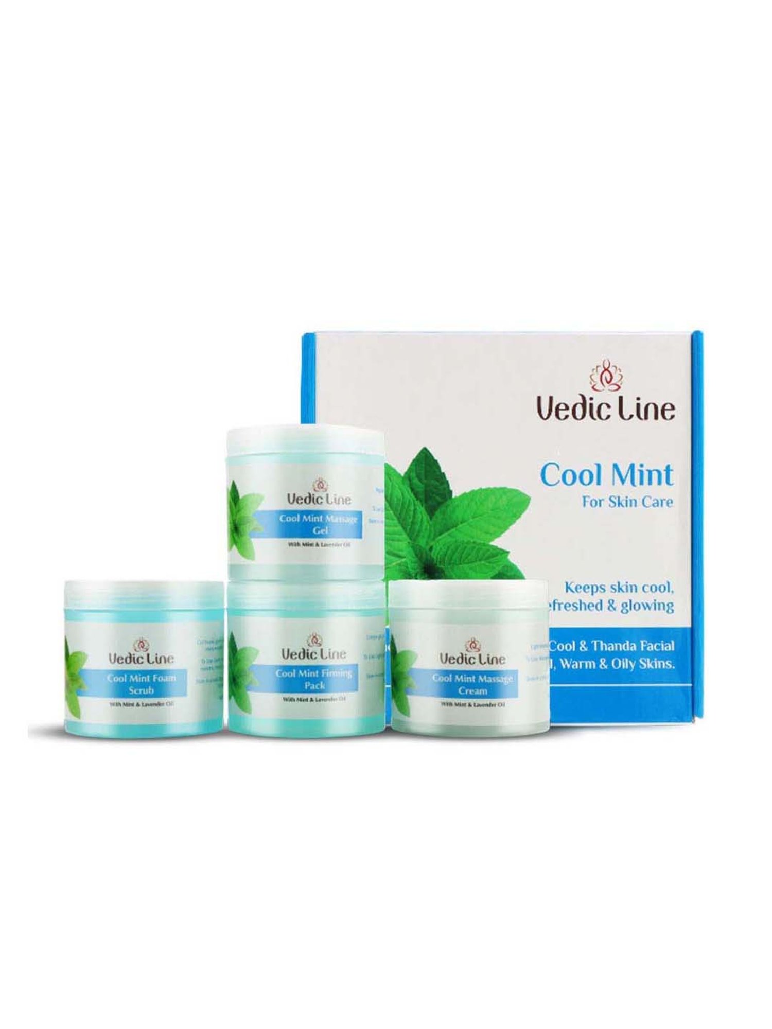 VEDIC LINE Cool Mint Facial Kit