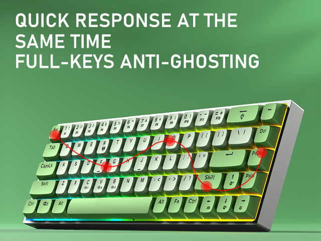 Aula F3068 68 Keys Bluetooth+Wired Dual Mode RGB Mechanical Keyboard Hot Swappable Switch Full keys Anti-ghosting Cool Backlight Effect for Pc Laptop Offical Computer