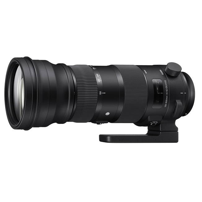 Sigma ZA954 150-600mm F5-6.3 DG HSM Sport Lens with 1.4X Tele-Converter Kit for Canon (Black)