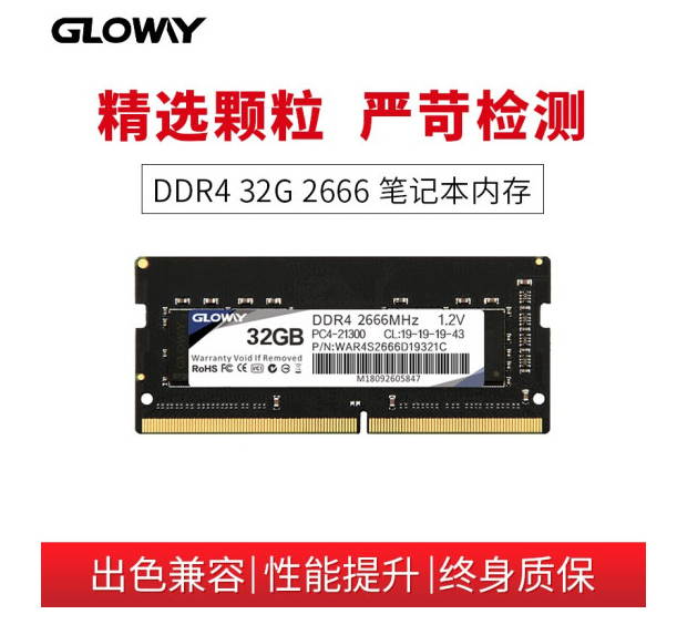 Gloway 32GB 260-Pin DDR4 SDRAM DDR4 2666 (PC4 21300) Notebook Memory