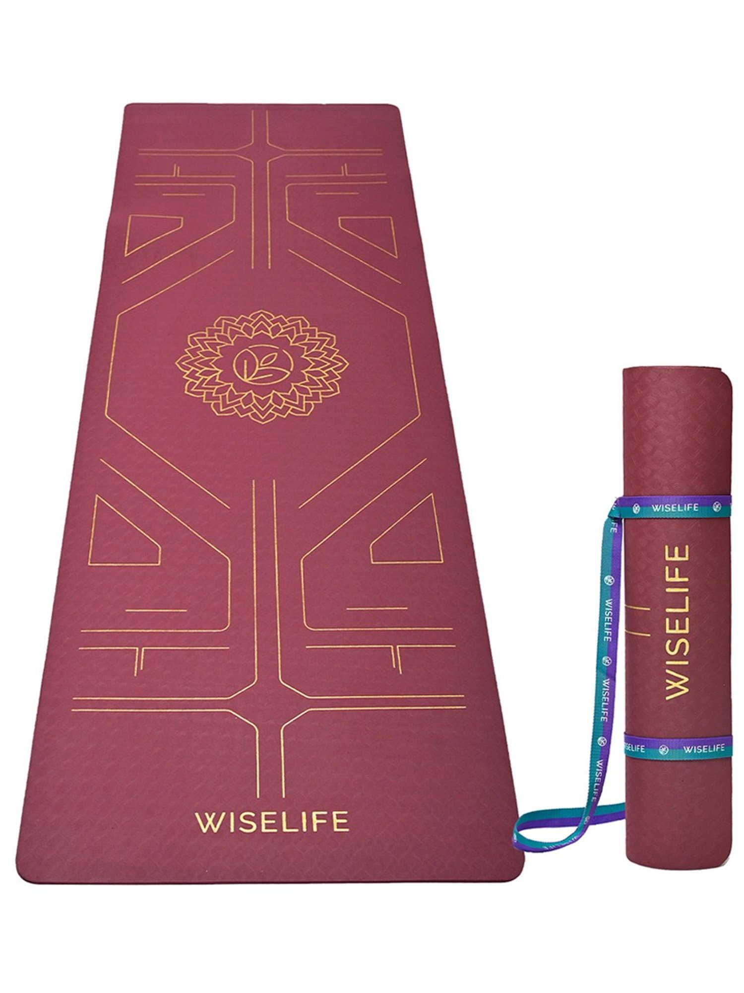 Nodens Multicolored Frizbee Ring (7 inch)