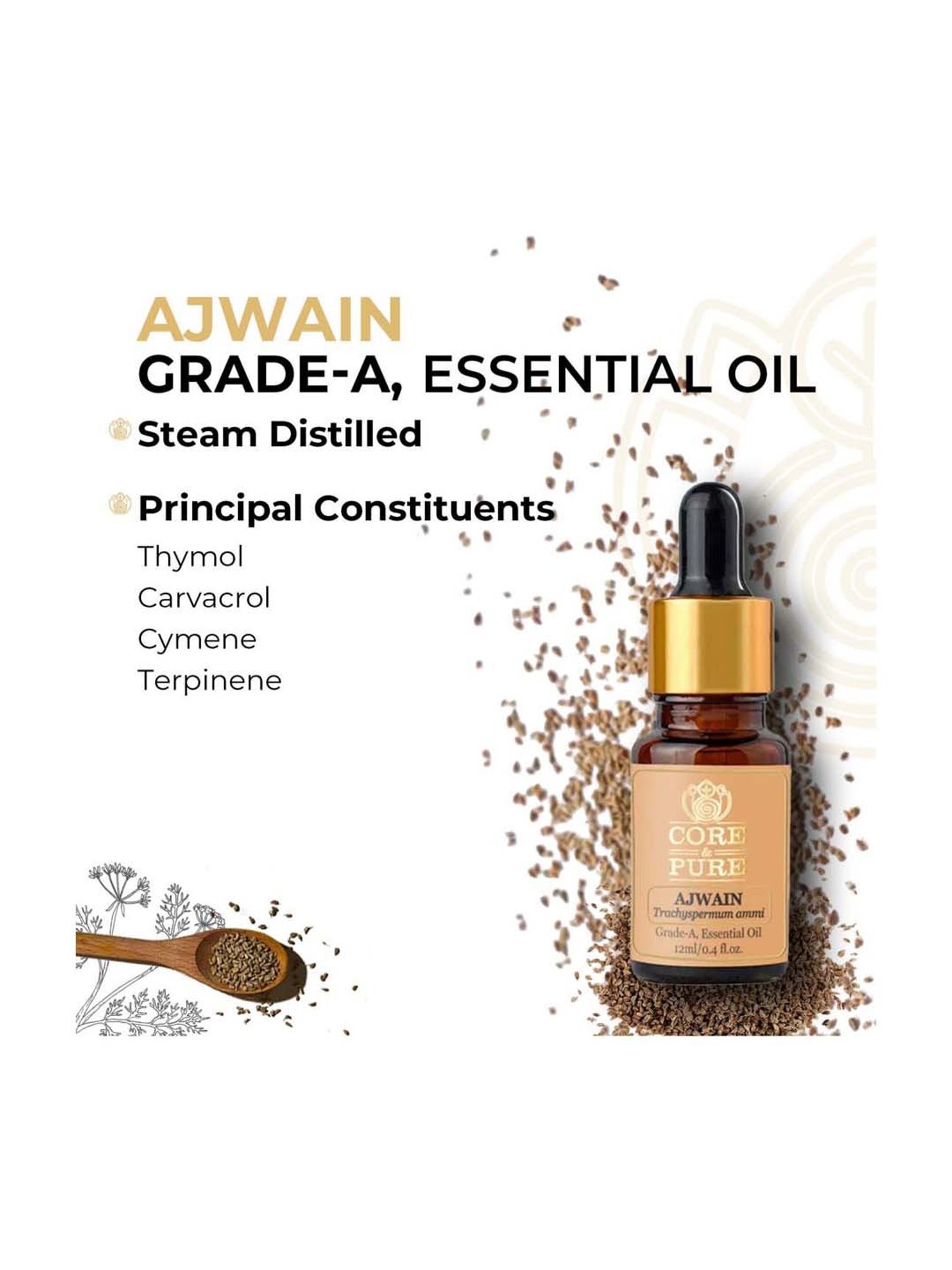 CORE & PURE Ajwain Essential Oil - 12 ml