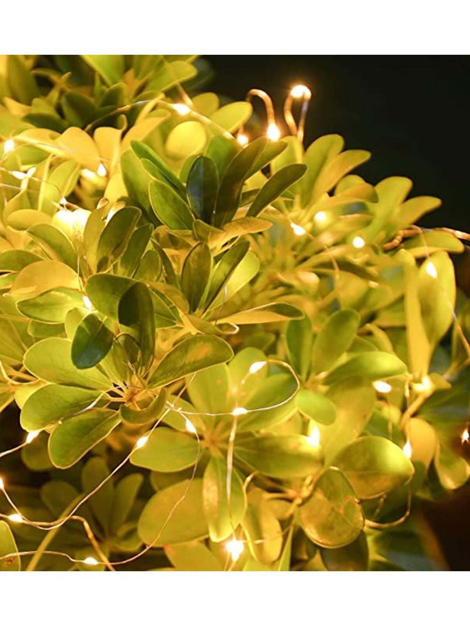 Homesake Yellow Copper 50-Led Fairy String Lights - Set of 8