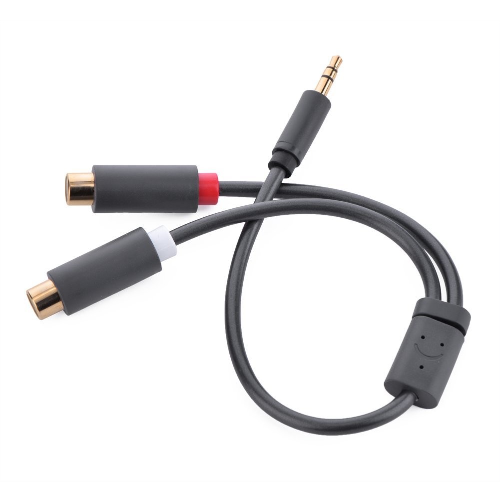 3.5mm to 2RCA converter cable,Premium 3.5mm Male to 2RCA Female Stereo Audio Cable Gold Plated for Smartphones, MP3, Tablets, Home Theater,0.8ft/25cm (10547)