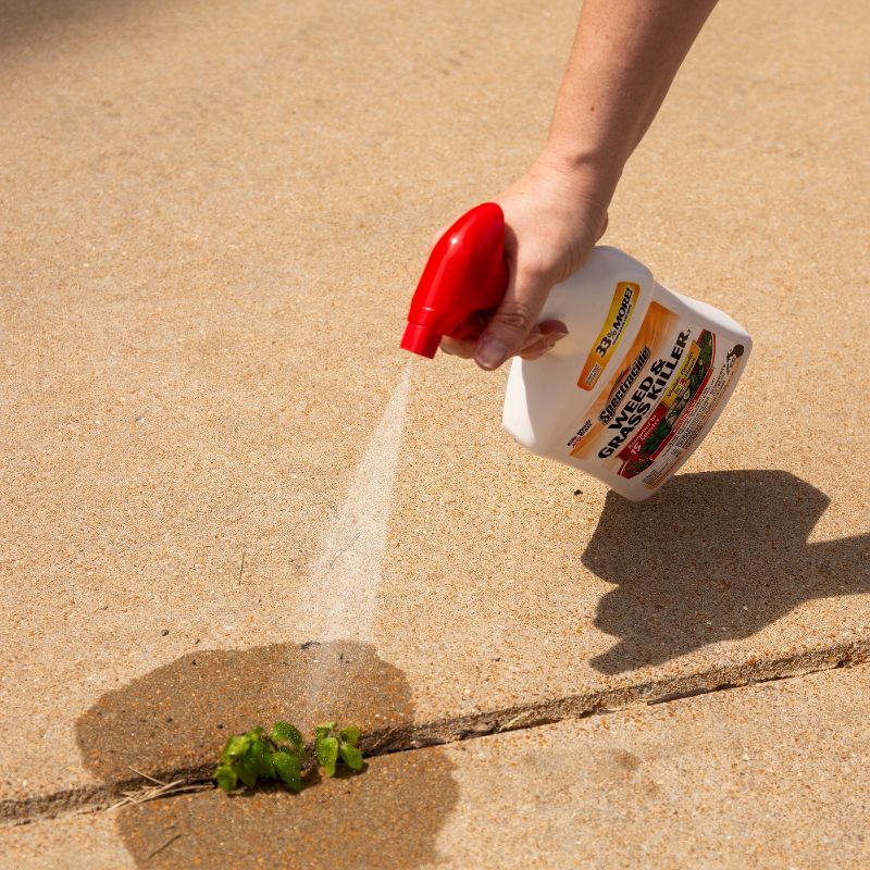 32 fl oz Ready-to-Use Weed & Grass Killer - Spectracide